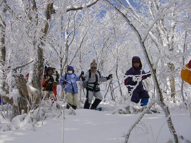 Tour de raquetas de nieve