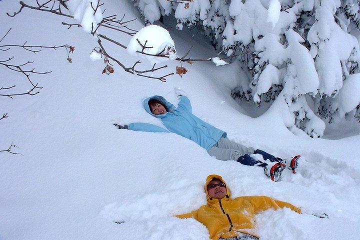 Tour de raquetas de nieve
