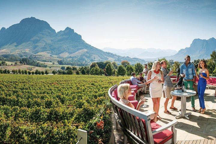 Visite privée des vignobles du Cap à Stellenbosch et Franschhoek