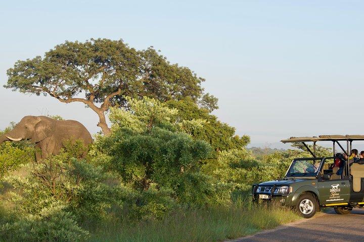 Safari di 4 giorni Kruger Park Safari e tour panoramico con colazione e cena incluse