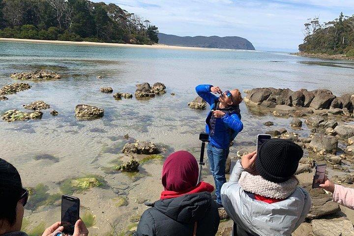 3日間のタスマニアハイライトツアー–ホバート、ポートアーサー、ブルーニー島