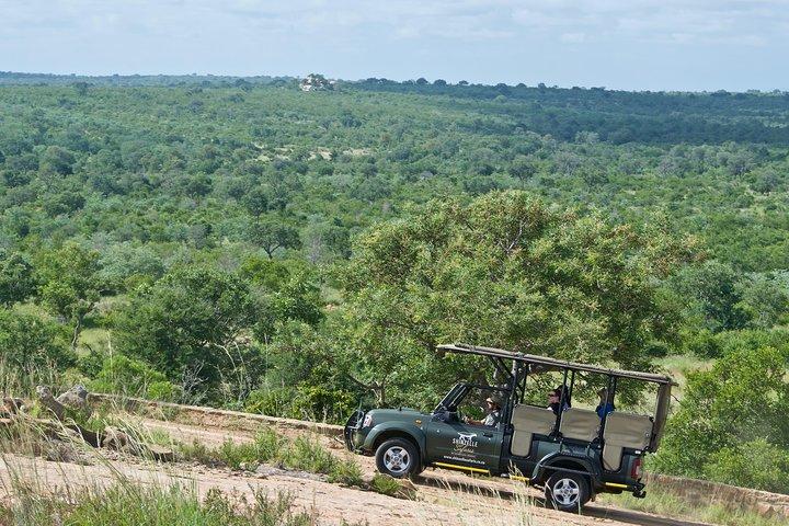 Safari di 4 giorni Kruger Park Safari e tour panoramico con colazione e cena incluse