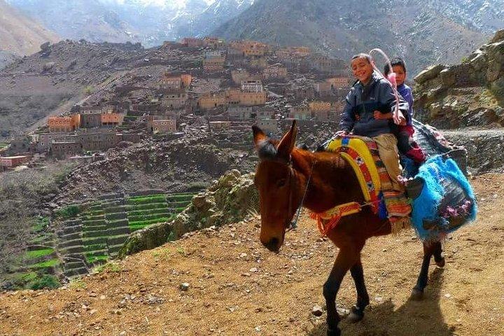 Kochkurs mit berbern im atlas berg tagestour von marrakech nach imlil