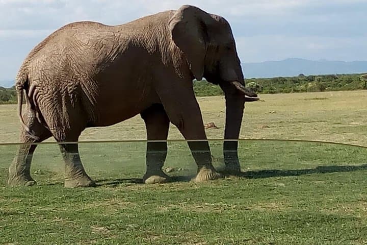 3 Days Maasai Mara Budget Group Safari