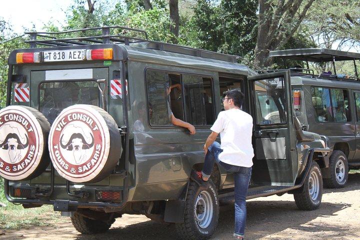 Serengeti Day Trip Tour vanuit Mwanza