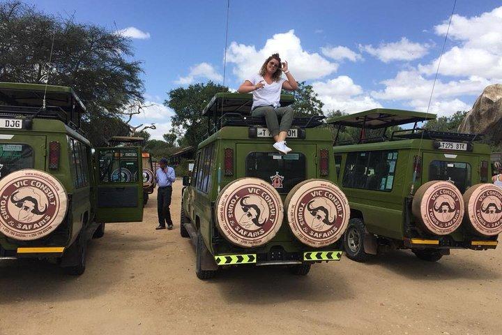 Serengeti Day Trip Tour vanuit Mwanza