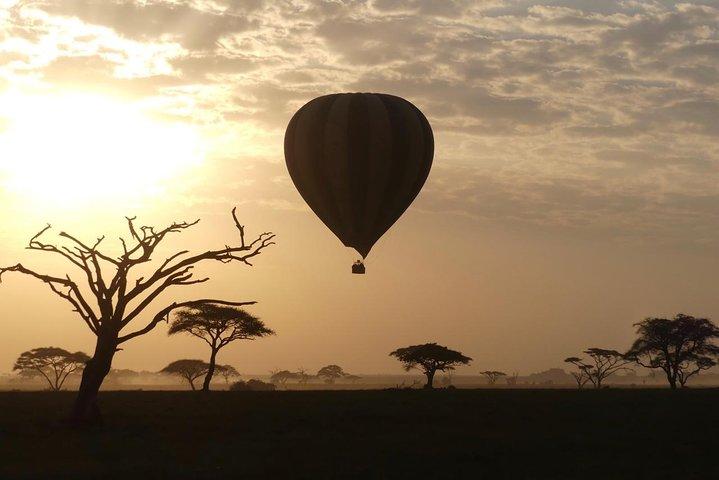 Serengeti Day Trip Tour vanuit Mwanza