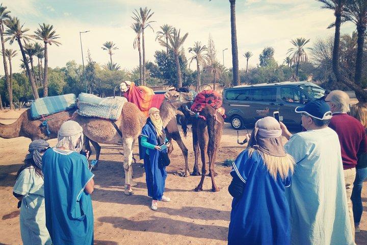 Camel ride in Marrakech palmeraie area