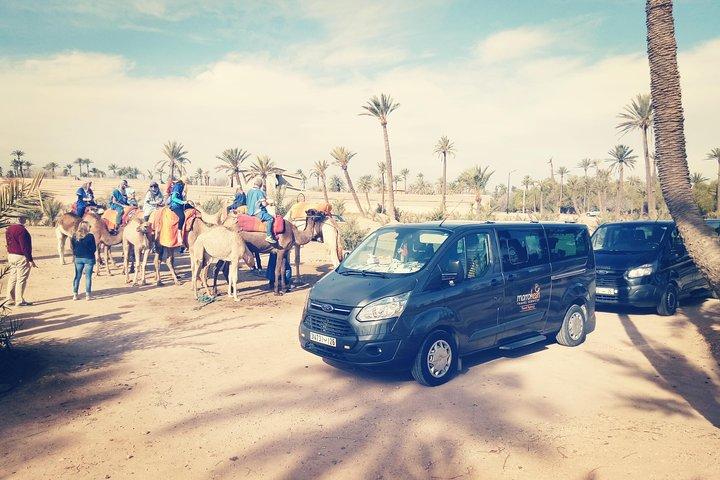Camel ride in Marrakech palmeraie area