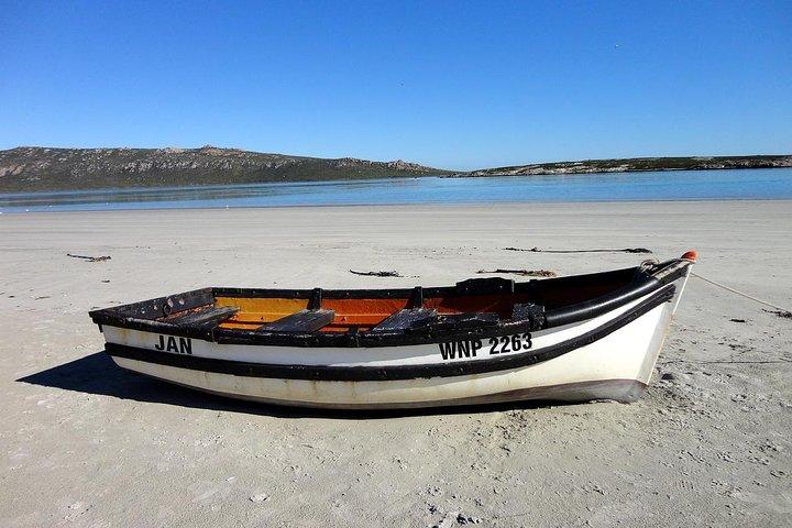 Journée privée d'une journée sur la côte ouest du Cap