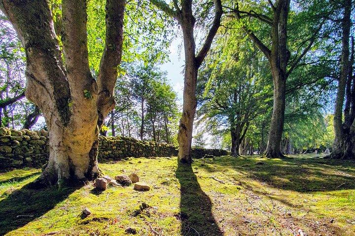 Il lato più tranquillo di Loch Ness
