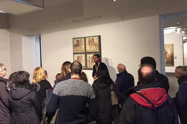 Tour Privado - Museu Nacional do Palazzo Massimo