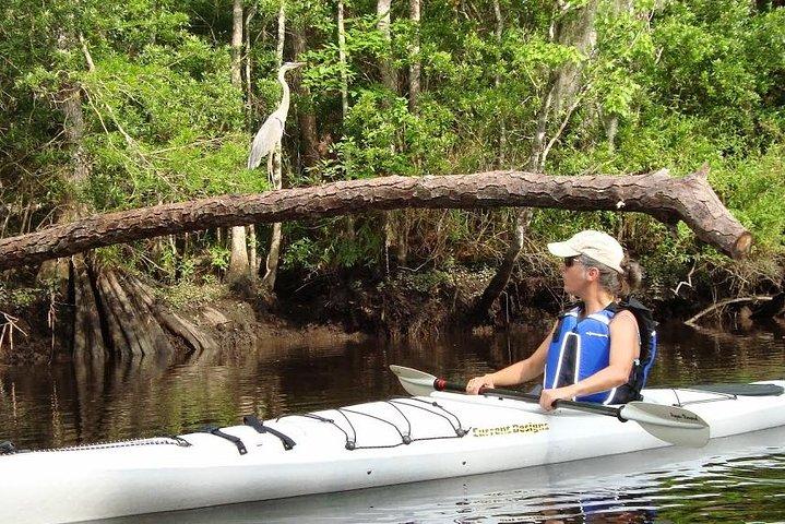 Location de kayak dans la région d'Amelia Island sur Lofton Creek avec Adventures Up The Creek