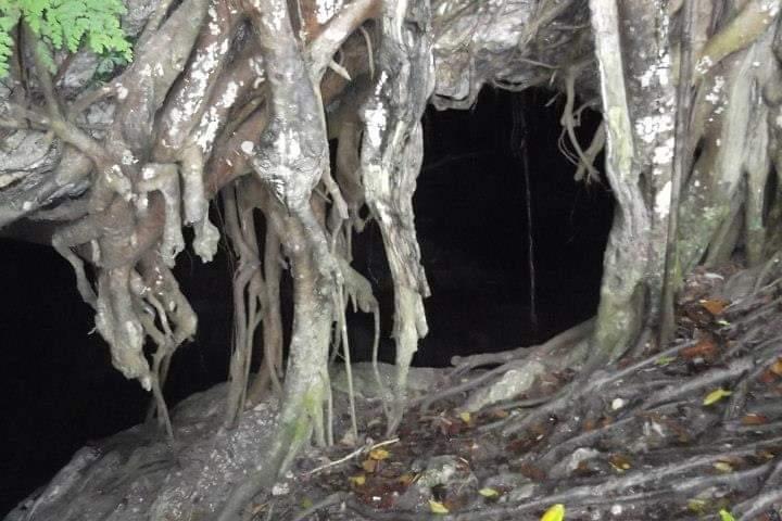 Window Cave Walking Tour a partir de San Juan
