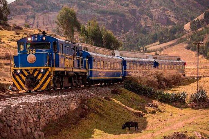 Visite d'une journée complète du Machu Picchu en train
