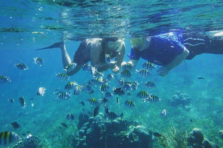 Roatan 2 Stop Schnorcheln und Stadtrundfahrt
