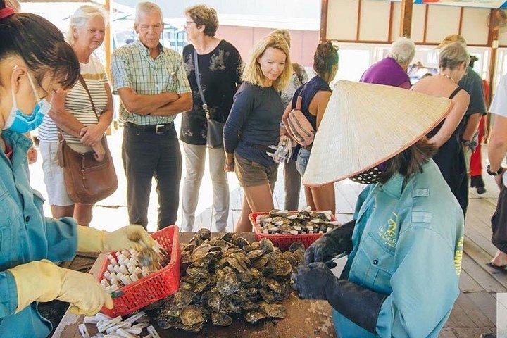 ハロン湾 2 日 1 泊 ハノイからの送迎付き