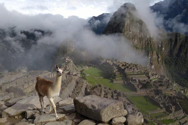 3 dages speciel udsigt - Cusco og Machu Picchu -