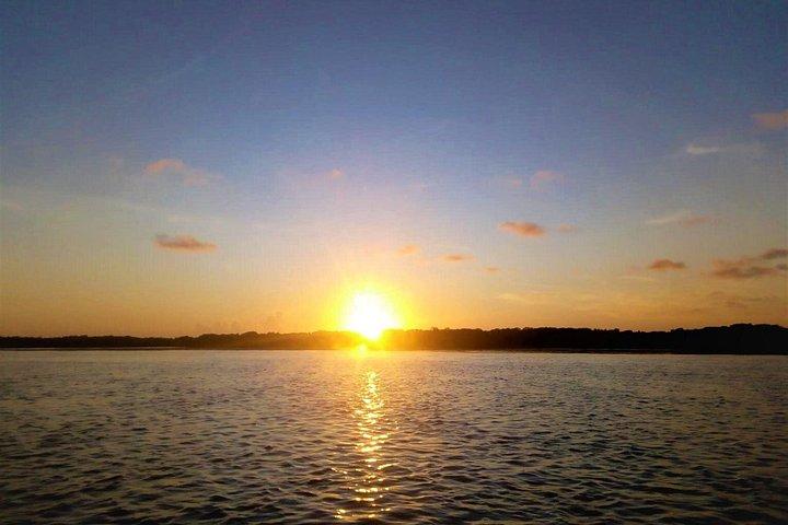 Sunset Mangrove Canoe Tour with Coconut Drink