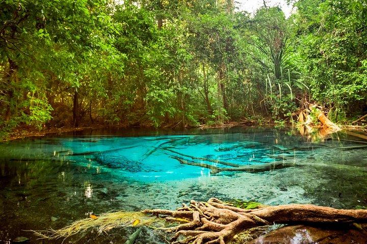 Højdepunkterne i Krabi