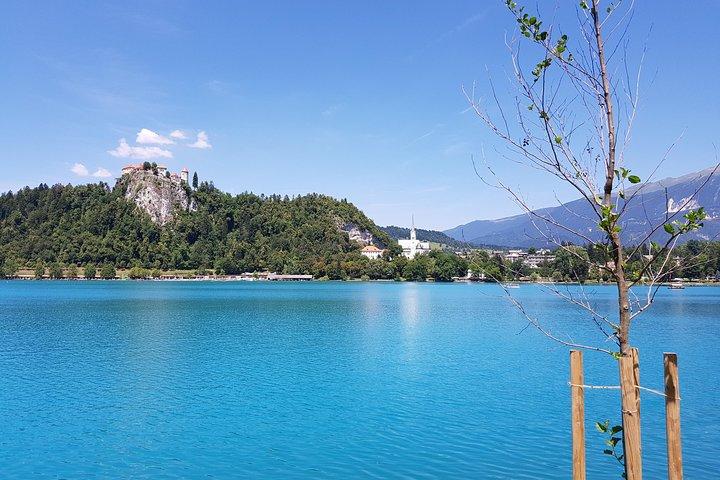 Fulddagstur til Bled-søen og Ljubljana fra Trieste