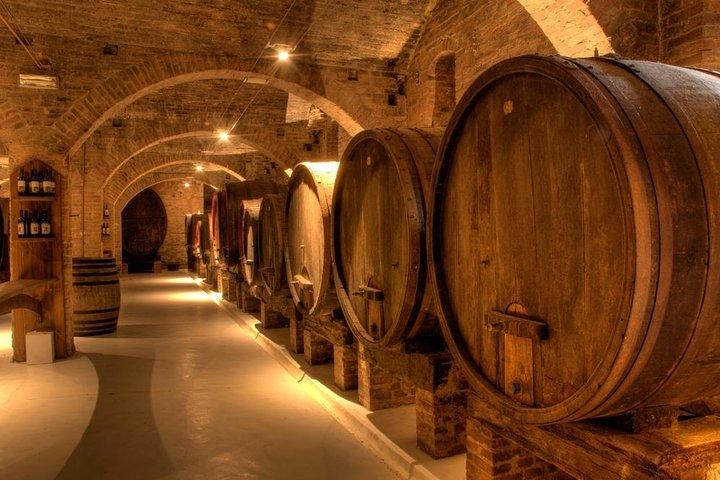 Private Pisa, Pasta en Chianti Lovers Wine Experience Livorno Shore Excursion