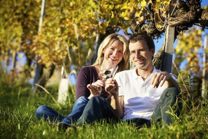 Private Pisa, Pasta en Chianti Lovers Wine Experience Livorno Shore Excursion