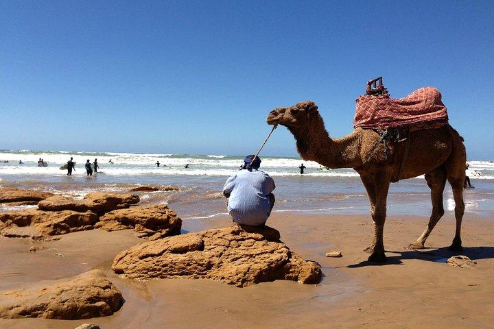 Essaouira Excursão de um dia de Marrakech