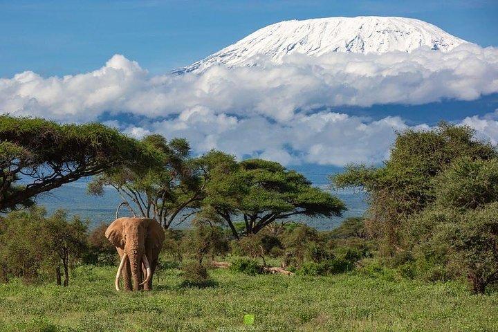 3 giorni Amboseli National Park