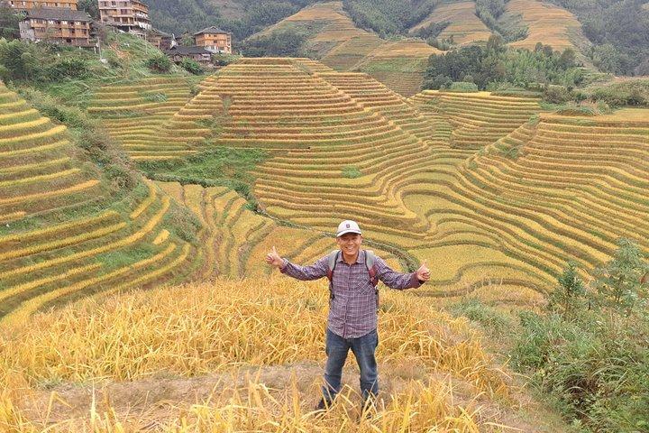 Excursão de um dia à plantação de chá Guilin e terraços de arroz Longji saindo do hotel Yangshuo