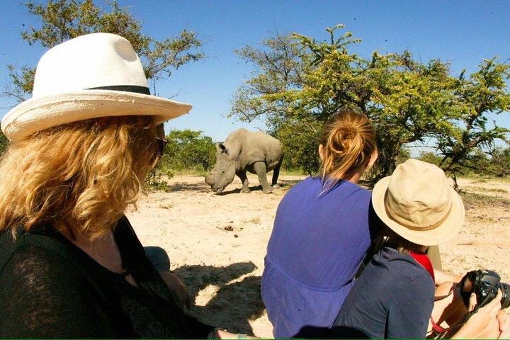 Private Rhino Walking Safari Experience from Livingstone