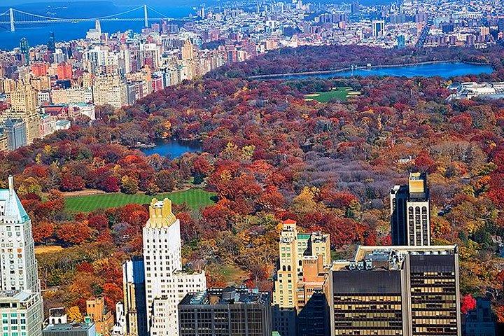 Excursion à New York en métro et en bus avec un guide privé