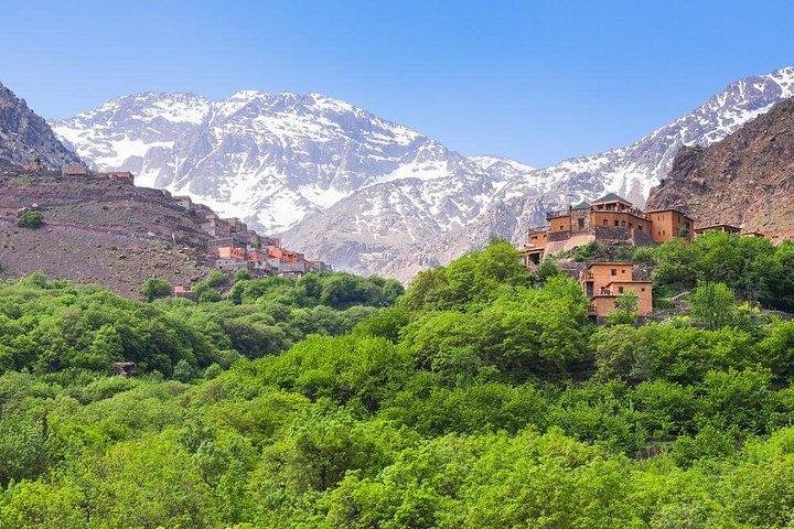 Agafay Desert and Atlas Mountains Day Trip from Marrakech