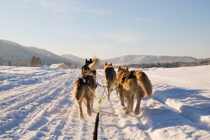 1-dagshundspann, besök Terelj nationalpark och Chenggis Khaan-statyn.