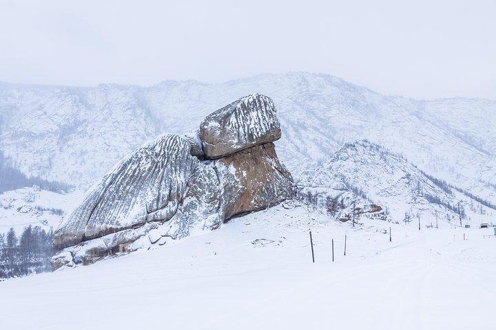 1-dagshundspann, besök Terelj nationalpark och Chenggis Khaan-statyn.