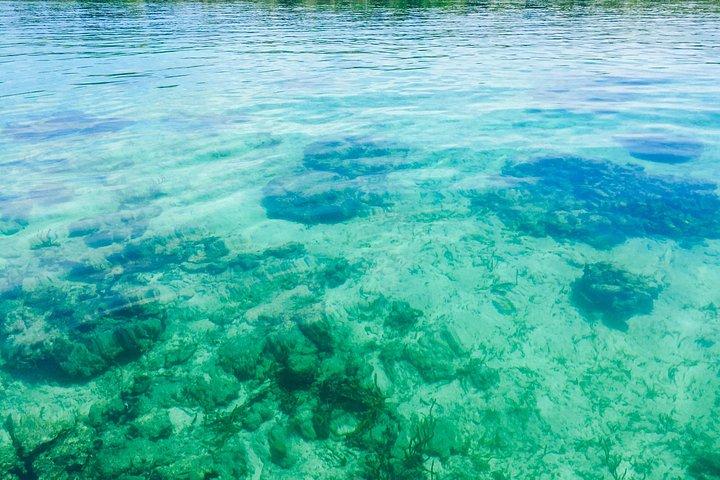 Buceo en las Islas del Rosario