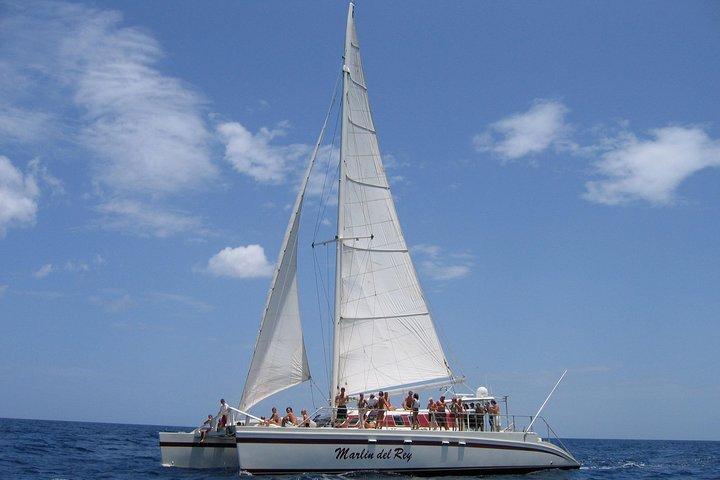 Privat katamaran-tur på Marlin del Rey