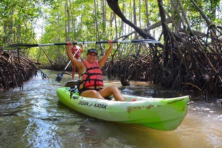 Kajak- (of boot-)avontuur in de mangrove