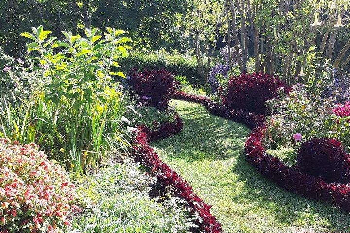 Private Halfday Flower Palheiro Gardens Tour