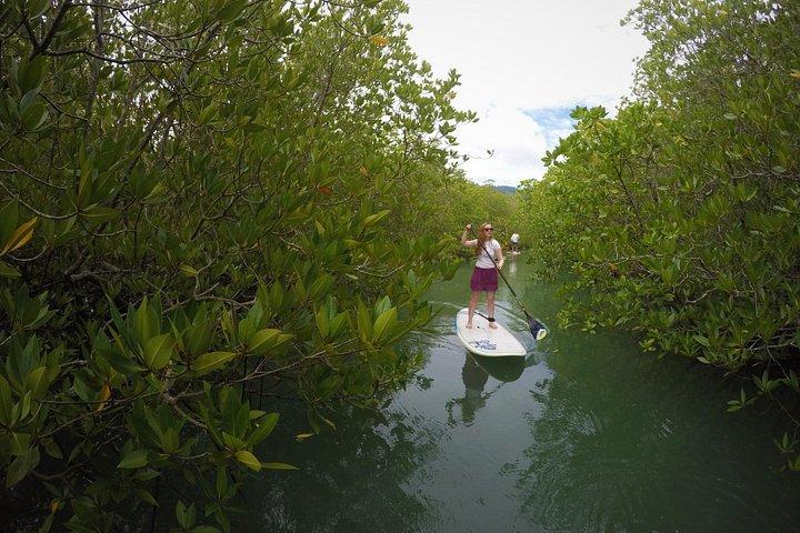 Mangue SUP Tour Phuket