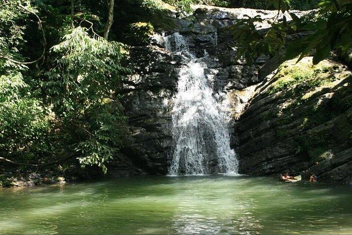 Mangrove Kayaking (or boat) Adventure