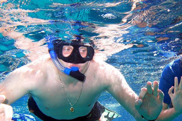 Ras Mohamed e Ilha Branca experimentam Sharm El Sheikh