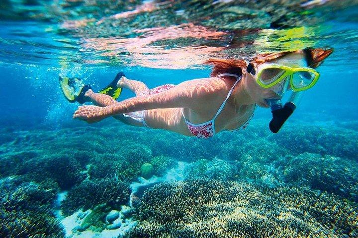 Snorkel & ATV (shared) with Transportation from Riviera Maya