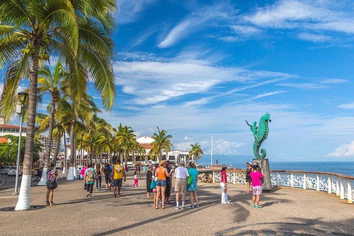 Il meglio del tour privato di Puerto Vallarta: evidenzia tesori e gemme nascoste
