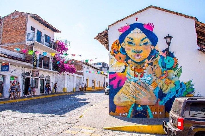 Il meglio del tour privato di Puerto Vallarta: evidenzia tesori e gemme nascoste