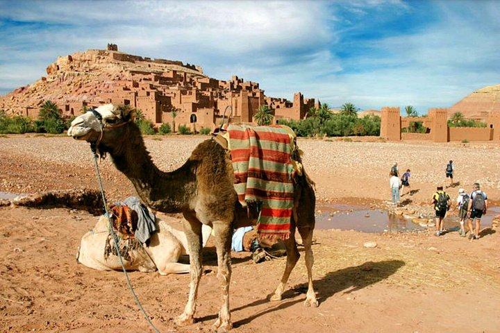 Ait Benhaddou day trip