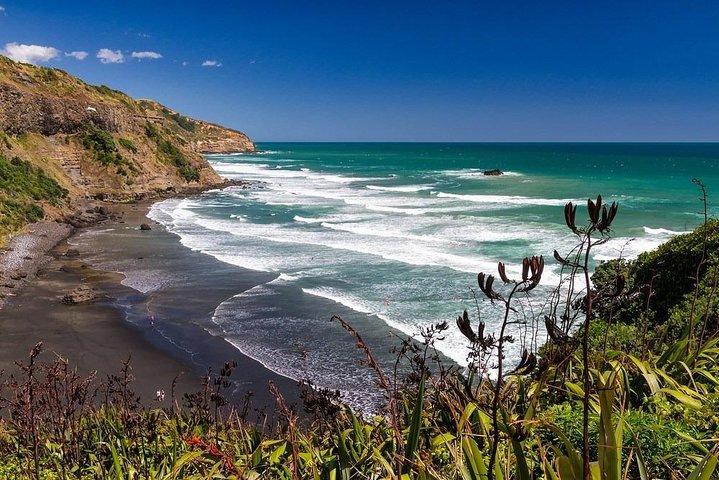 Privat rundtur - Muriwai Beach och vinprovning