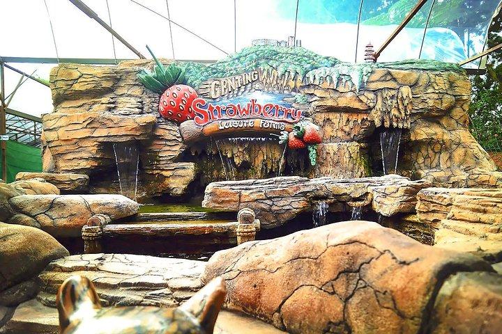 Batu Höhlen und Genting Highland Tour