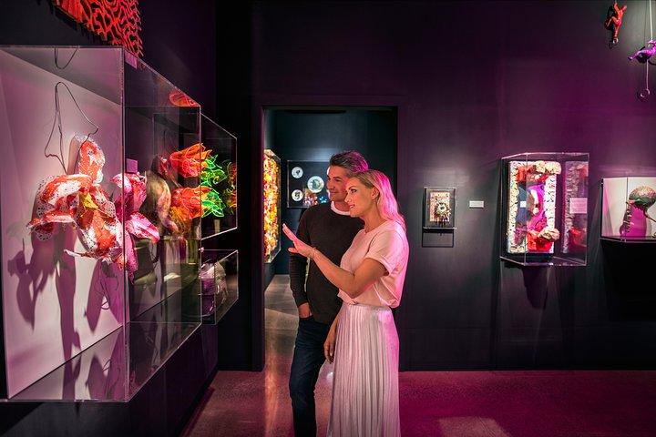 Private Tour - Matakana Art & Wine Village