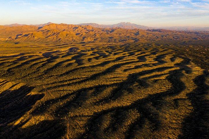 Sonora Desert Jeep Tour